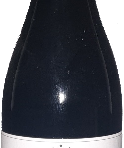 Botella seulalia Mencía 2021